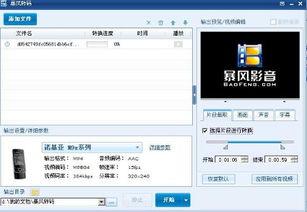 mp4格式的视频,揭秘格式背后的精彩世界