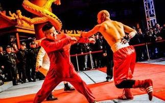 中国女子格斗视频,中国女子搏击运动的崛起与魅力