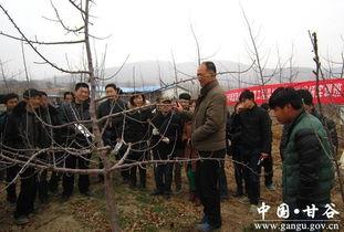 甘谷吹响视频,探寻千年古韵，感受民俗魅力