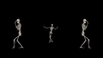 骷髅人视频,揭秘神秘生物之谜