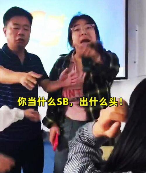 泼妇骂视频,一场网络风波引发的口水战