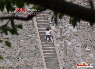 公园白天打野的视频,捕捉自然之美