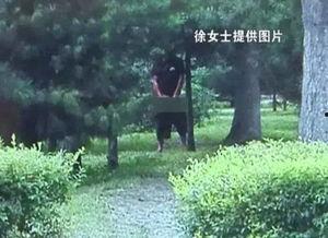 公园白天打野的视频,捕捉自然之美