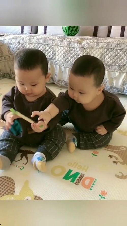 双胞胎小视频,萌化你的心