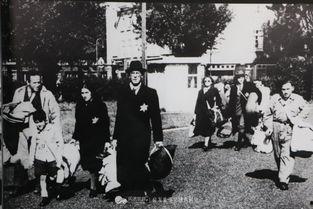 奥斯维辛没有什么新闻视频,历史记忆的沉重回响