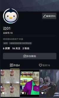 小视频app大全,盘点热门短视频平台,解锁潮流娱乐新体验