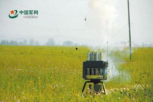 驱鸟炮视频,高科技驱鸟新利器,守护农田安全