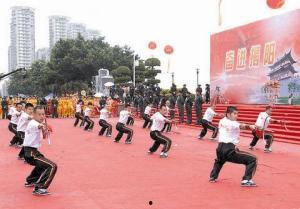 南枝拳所有套路视频,视频解析与动作解读