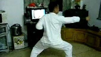 南枝拳所有套路视频,视频解析与动作解读